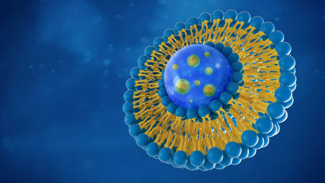 Spiro Upward: The Liposomal Essential Oil Remedy for Lyme