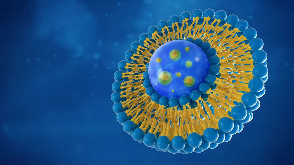 Spiro Upward: The Liposomal Essential Oil Remedy for Lyme