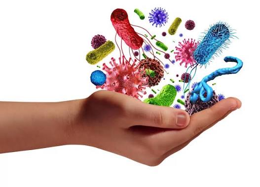 Why Your Immune System Might Be the Missing Piece in Chronic Illness