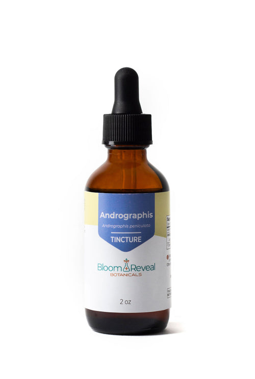 Andrographis tincture