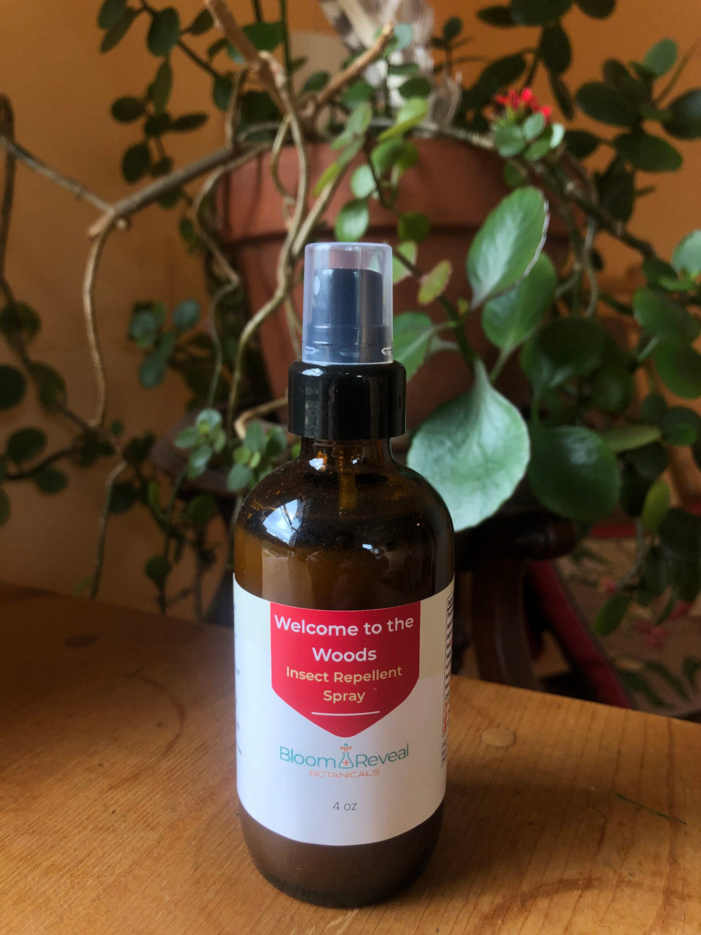 Welcome to the Woods Insect Repellent Spray