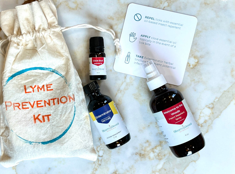 Lyme prevention kit with products laid out