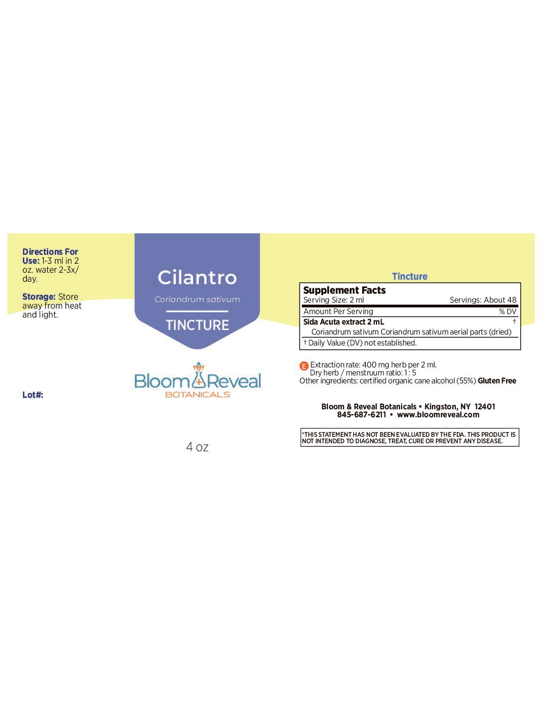 Cilantro