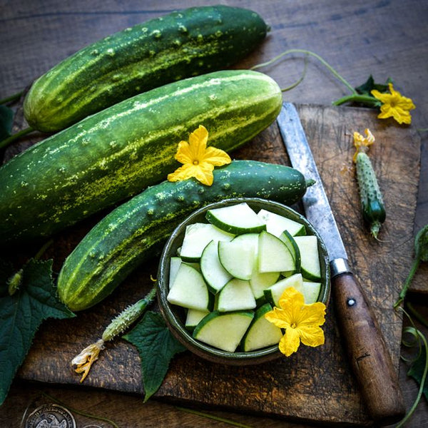 South Wind Slicing Cucumber