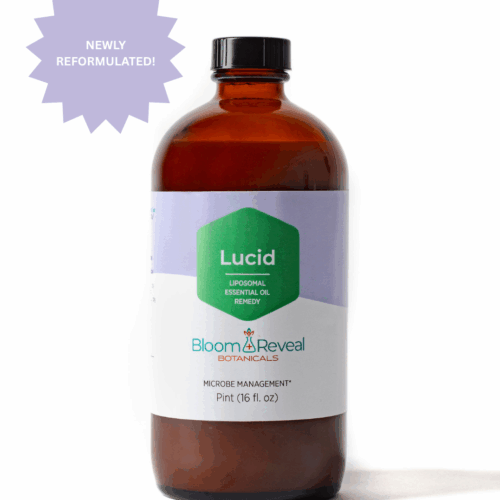 Lucid