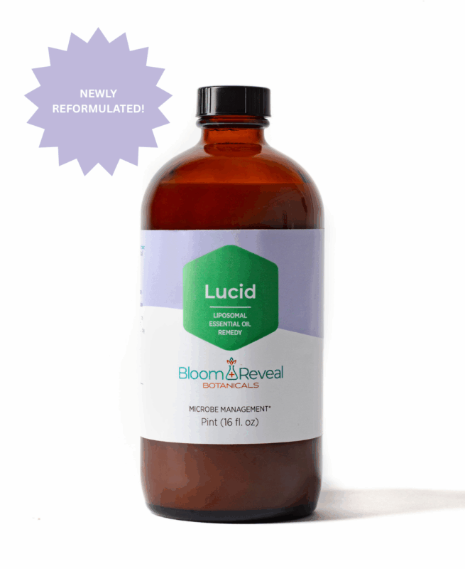 Lucid